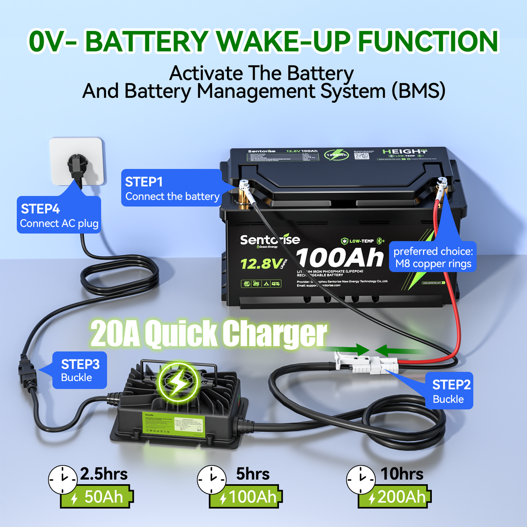 14.6V 20A Waterproof LiFePO4 Battery Charger
