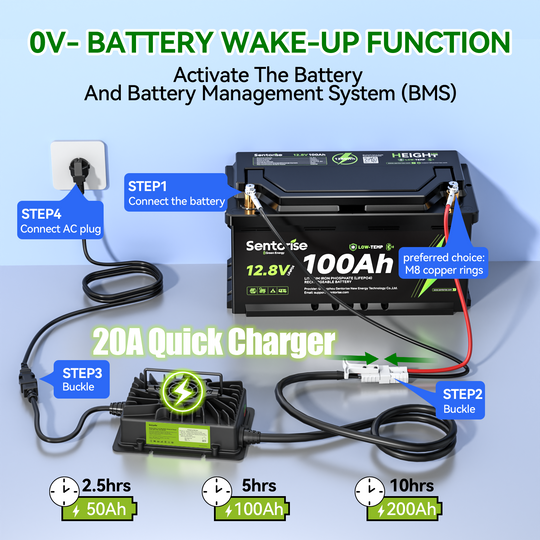 Sentorise 14.6V 20A LiFePO4 Charger – Fully Potted &amp; Waterproof | EU Plug